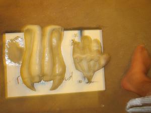 IMG0109.jpg