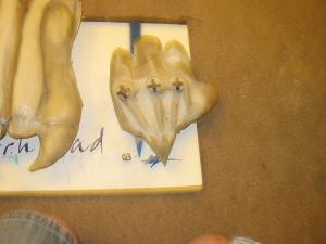 IMG0110.jpg