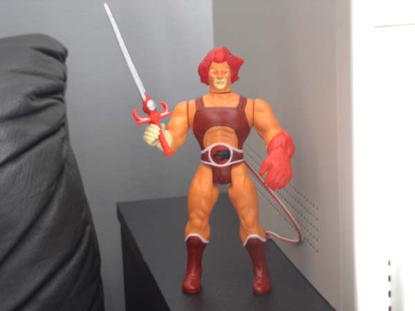 Liono -HD light.jpg