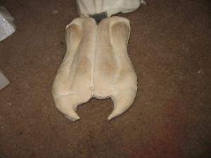 IMG0113.jpg