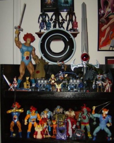 shelf.jpg