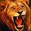 Animal_Warrior