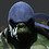 vshen