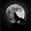 Wolf873